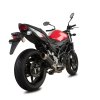 Laděný výfuk COBRA SP2 Carbom Suzuki SV 650