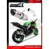 Laděný výfuk DOMINATOR Kawasaki ZX10R 08-10 KONCOVKA HP1