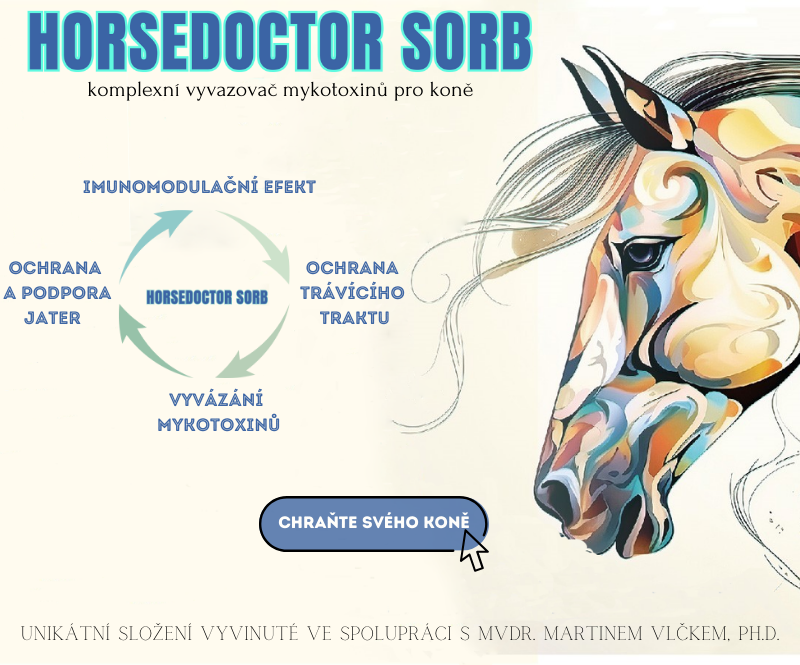 HorseDoctor