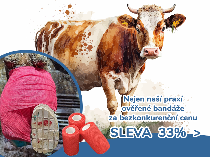 BANDÁŽE COW