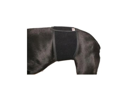 Břišní pás XS