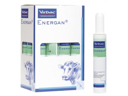 Energan Ketose pst 12x300g