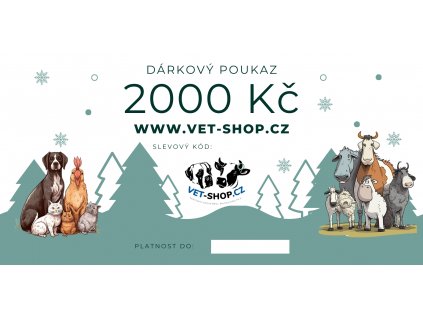 155520 darkovy poukaz 2000