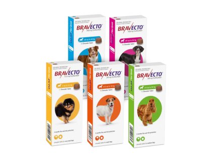 BravectoGroup grande
