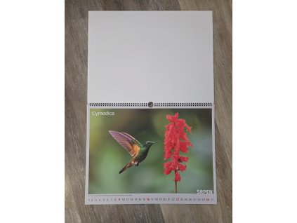 Kalendář 50x40cm nástěnný 2026