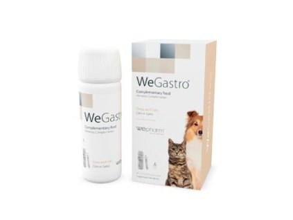 WeGastro 60ml