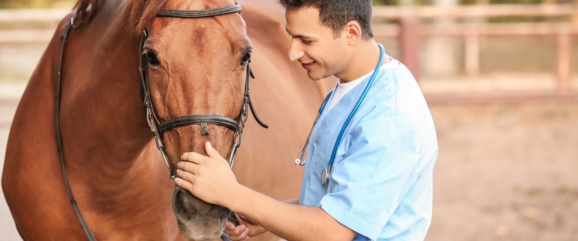 Spojení vědeckého výzkumu a praxe