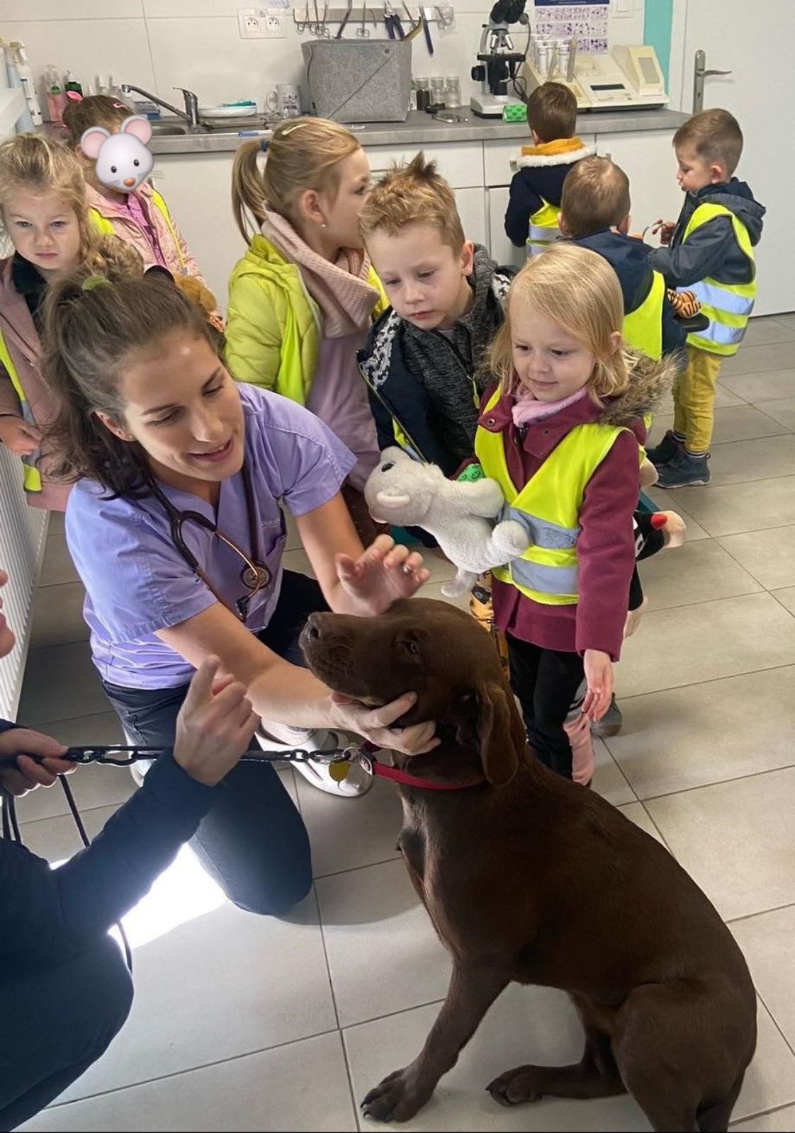 Spolupráce veterinárnej ambulancie Košice