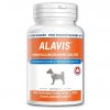 ALAVIS MSM + Glukosamin sulfát 60 tabliet