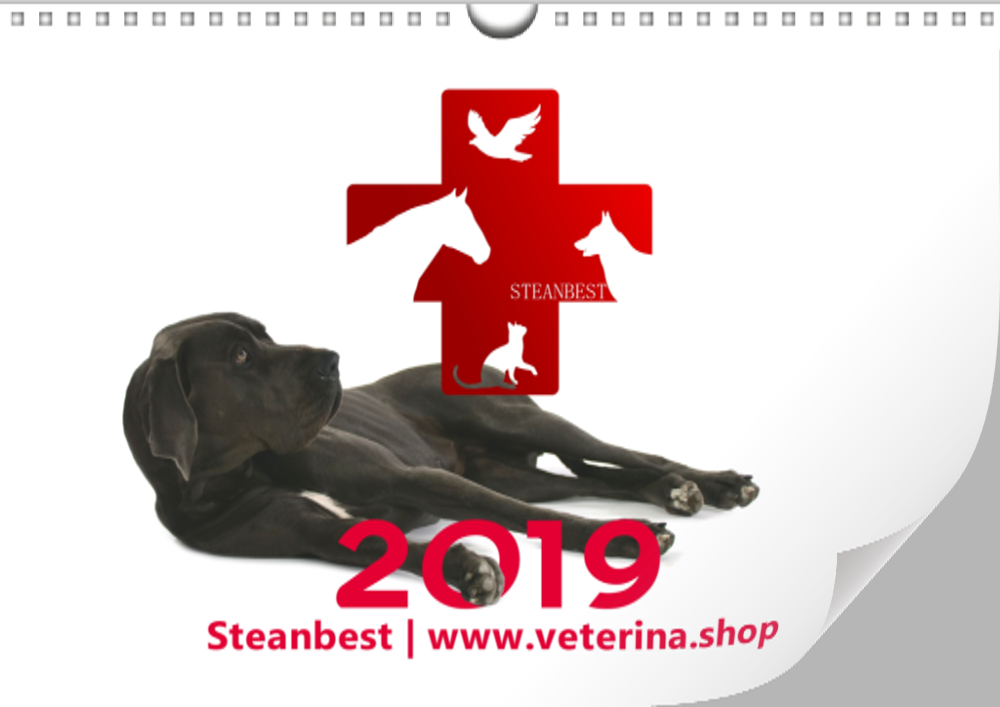 Kalendář 2019