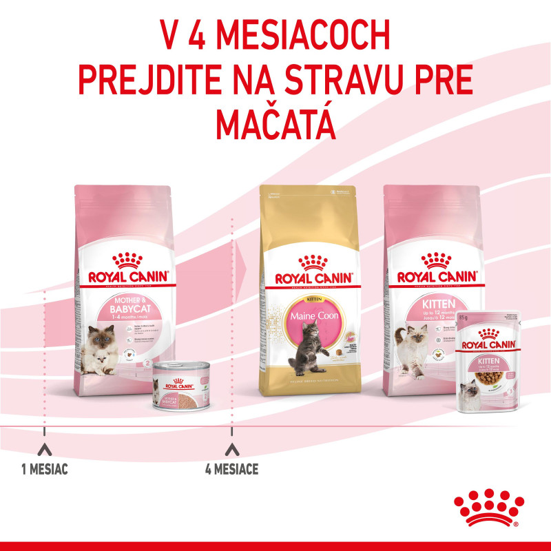 babycat-instinctive-can-29