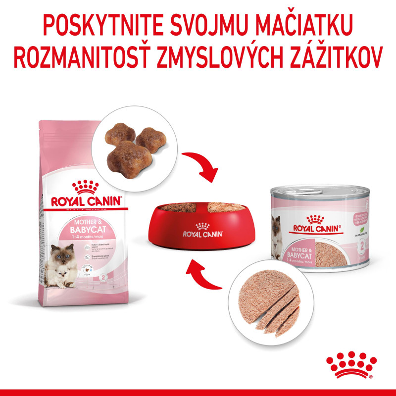 babycat-instinctive-can-35