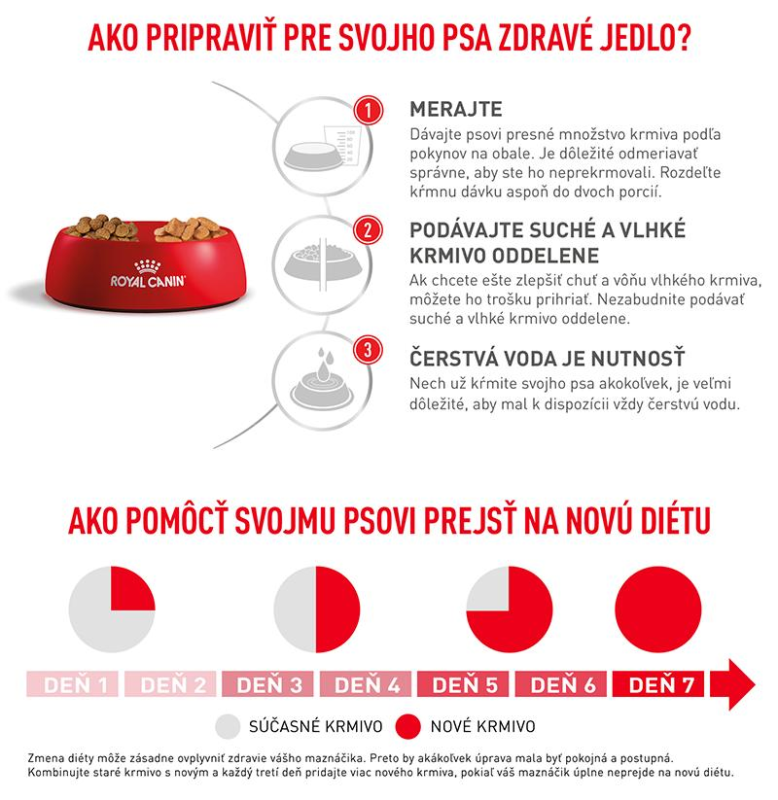 vhn-dog-cardiac-10