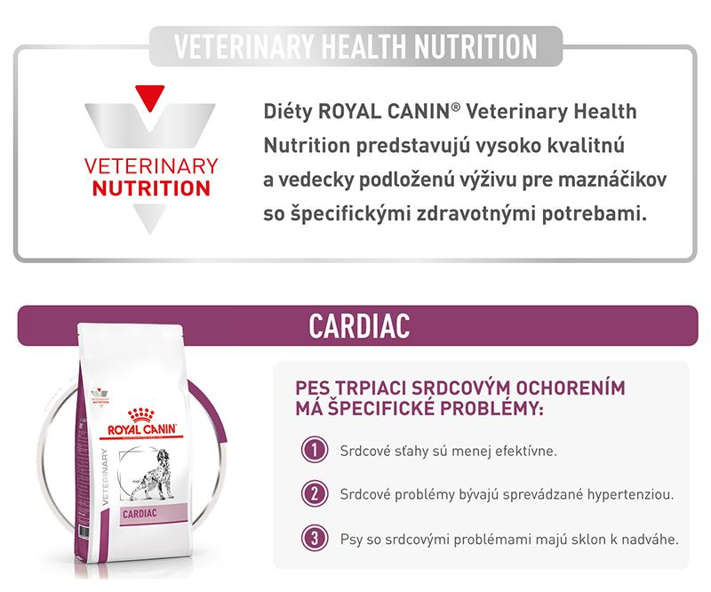 vhn-dog-cardiac-7