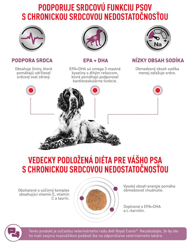 vhn-dog-cardiac-8
