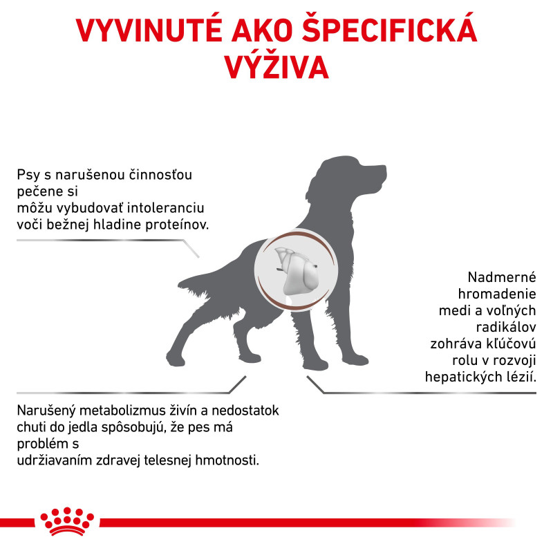 vhn-dog-hepatic-10