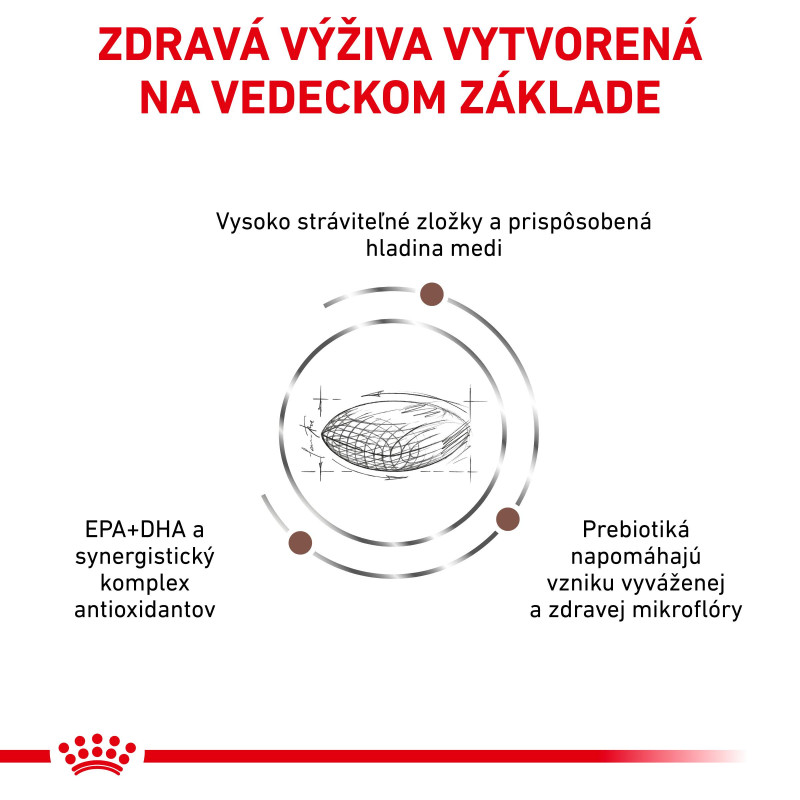 vhn-dog-hepatic-11