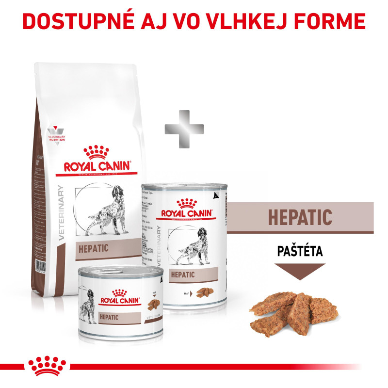 vhn-dog-hepatic-15