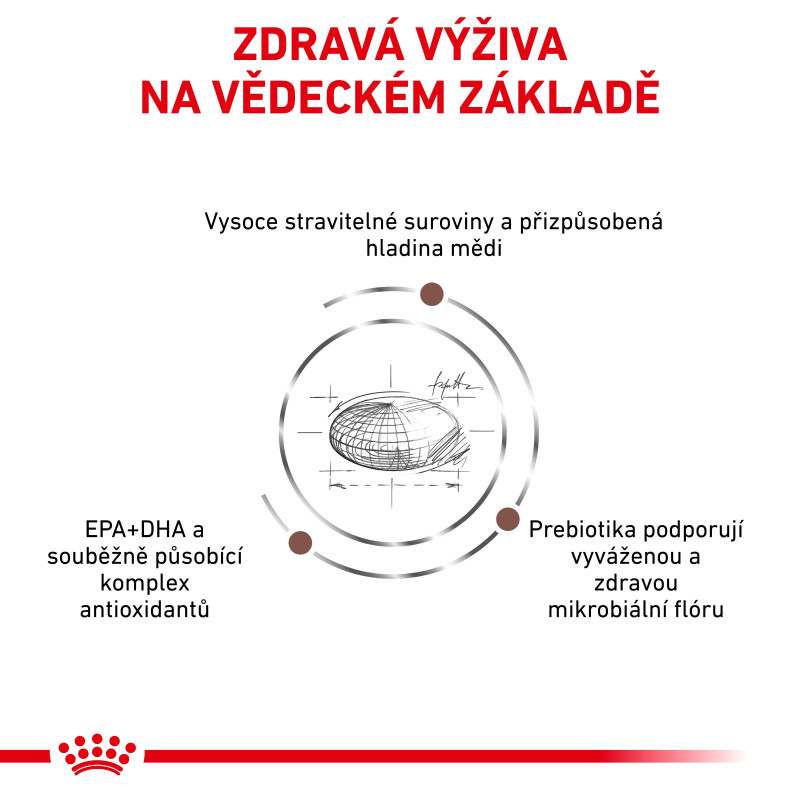vhn-cat-hepatic-3