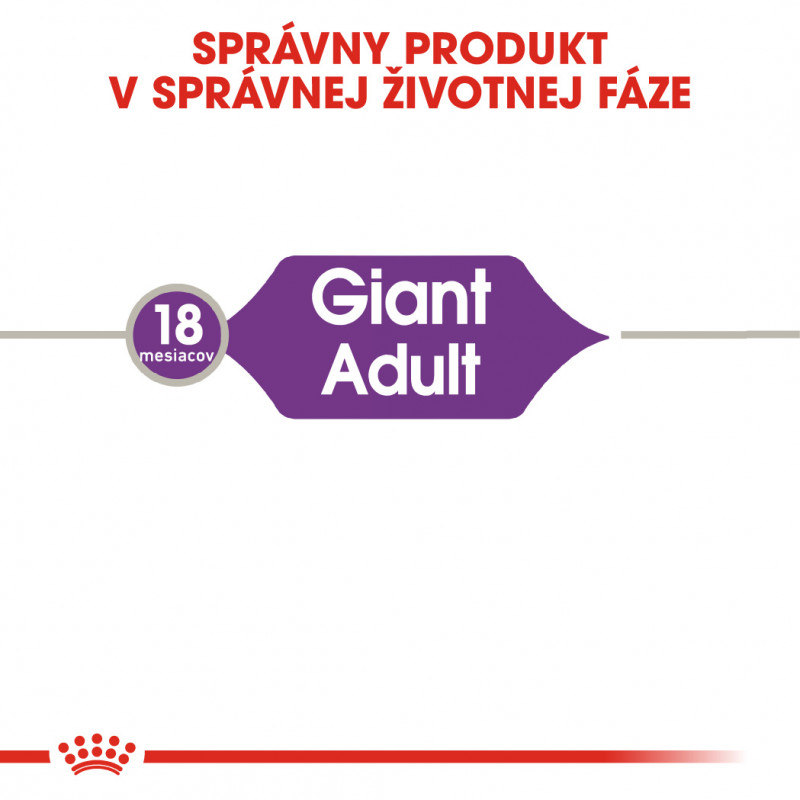 giant-adult-24