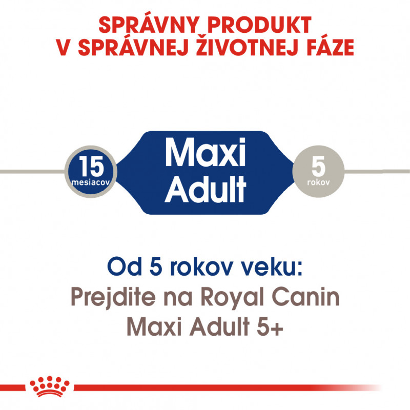 maxi-adult-16