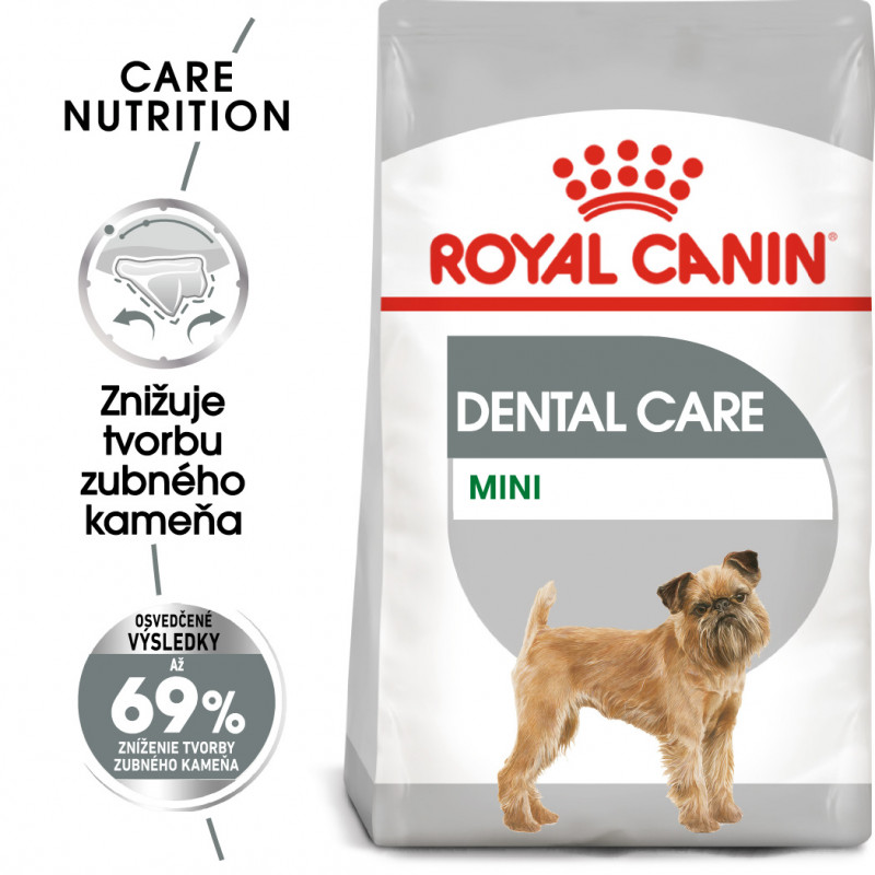 mini-dental-care-3