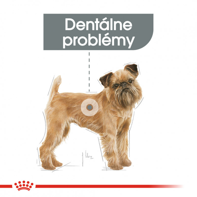 mini-dental-care-4