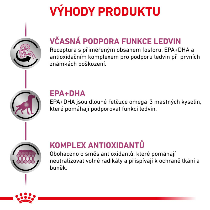 vhn-dog-early-renal-3