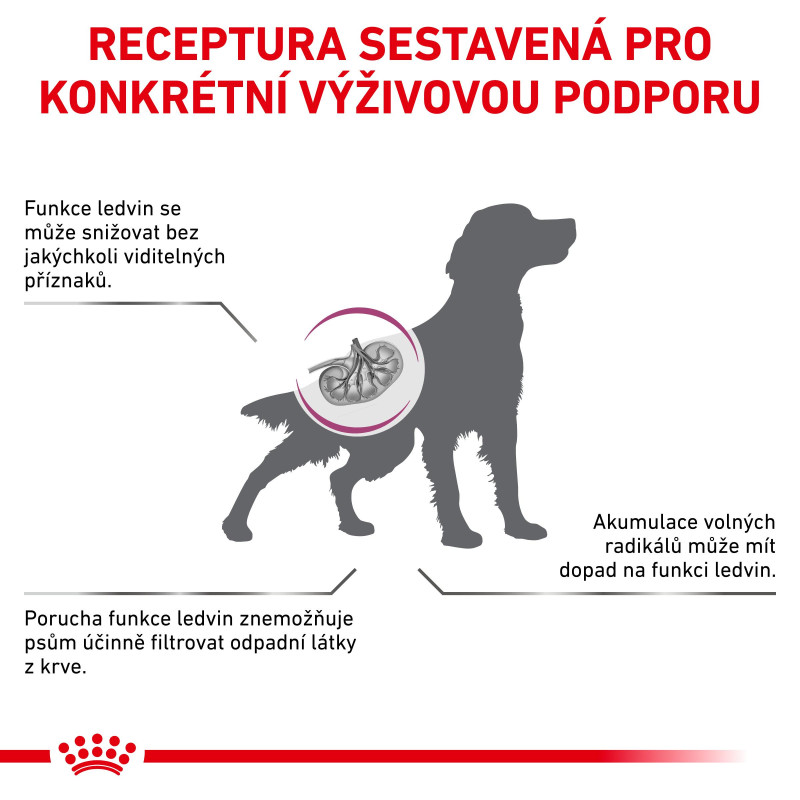 vhn-dog-early-renal