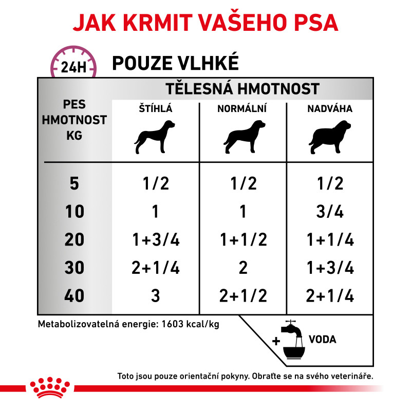 veterinary-diet-dog-renal-special-can-4