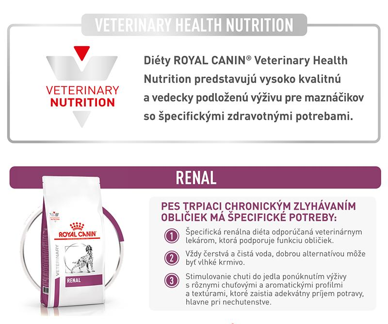 vhn-dog-renal-7