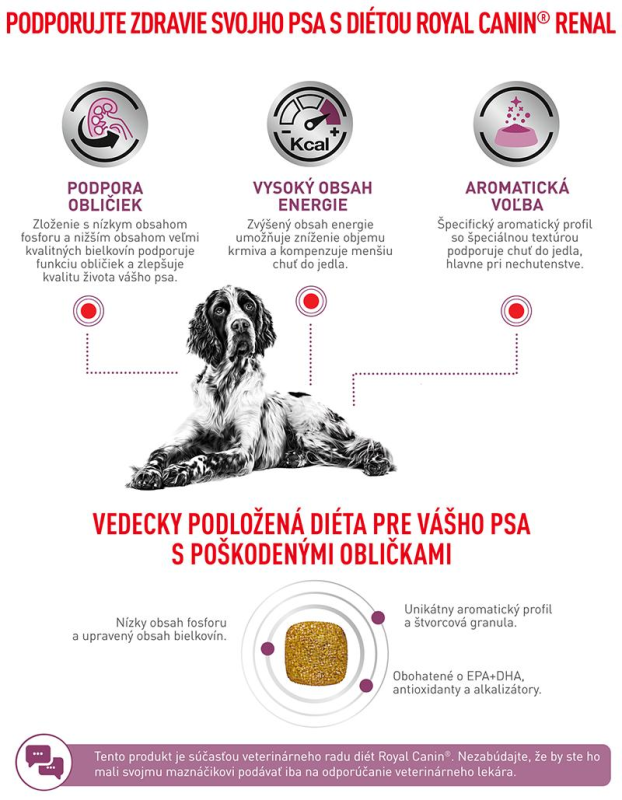 vhn-dog-renal-8