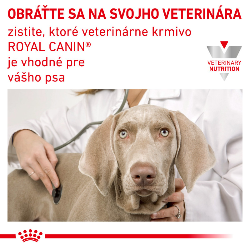 veterinary-health-nutrition-dog-urinary-s-o-can-8