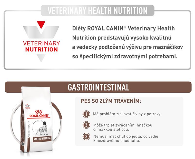 vhn-dog-gastrointestinal-7