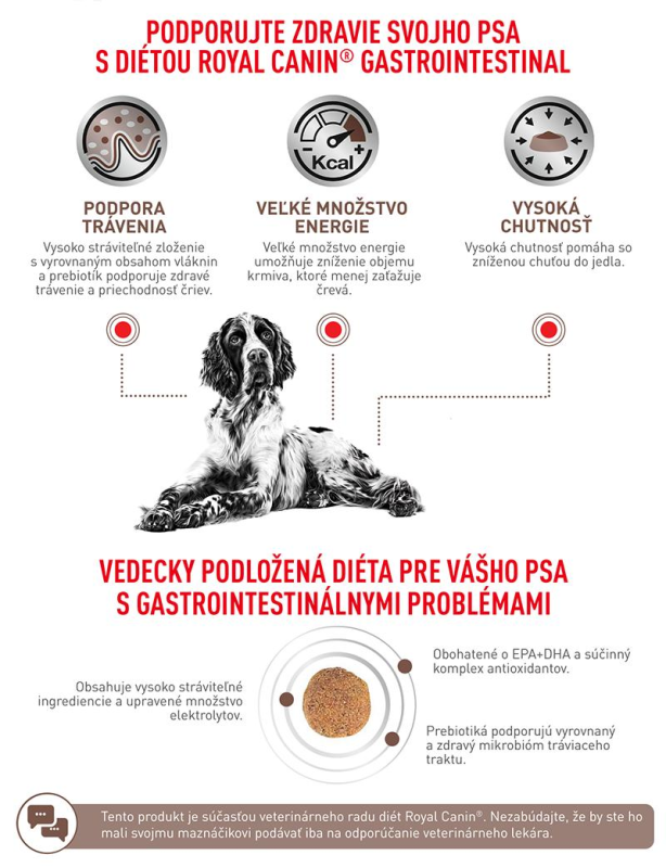 vhn-dog-gastrointestinal-8