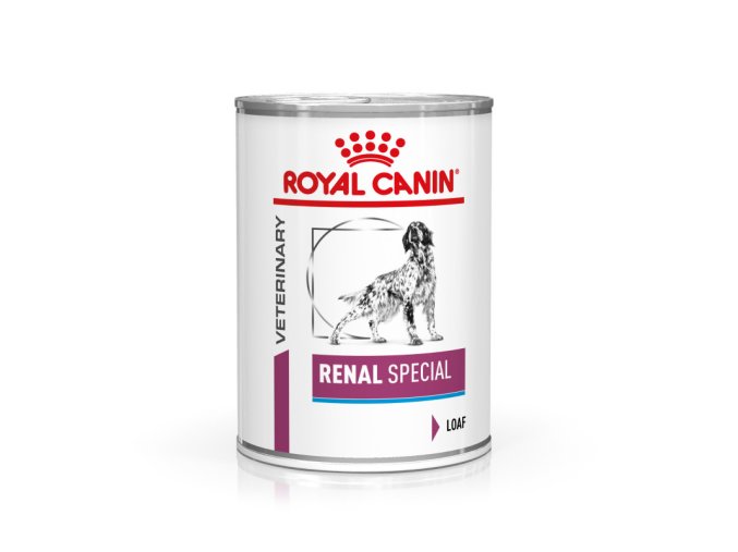 veterinary diet dog renal special can