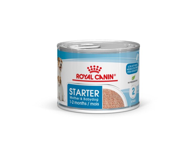 starter mousse 13