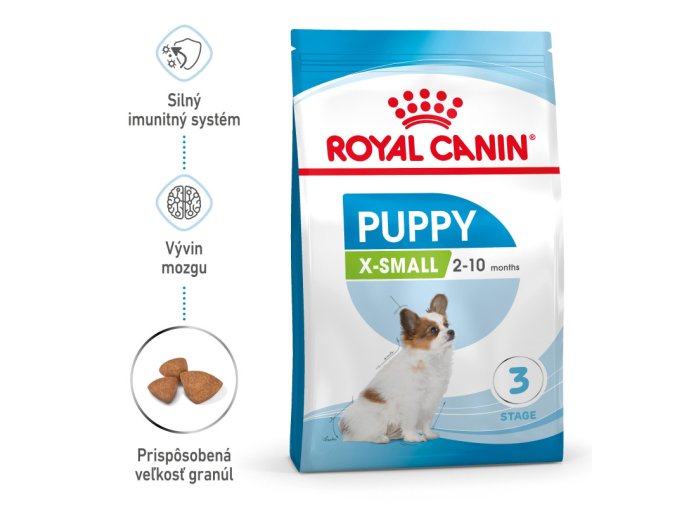 x small puppy 37
