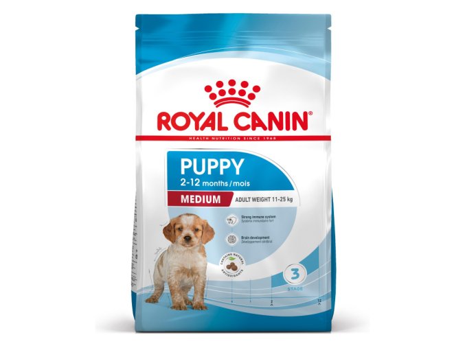 medium puppy 42