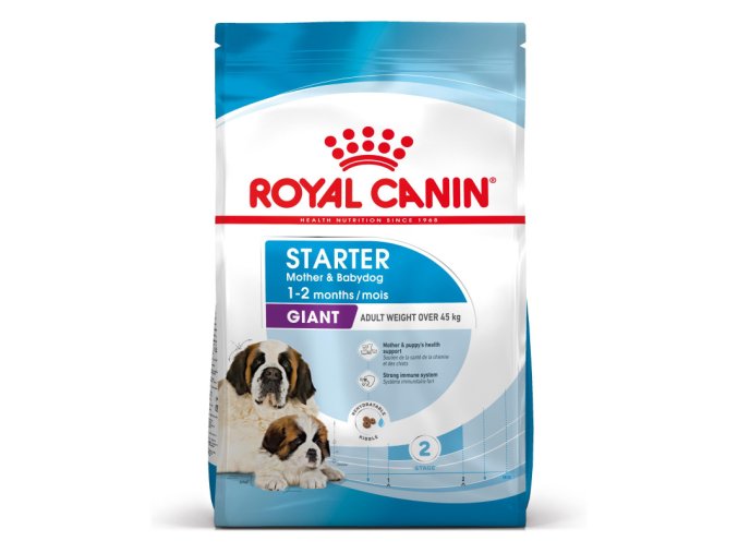 giant starter mother babydog 33