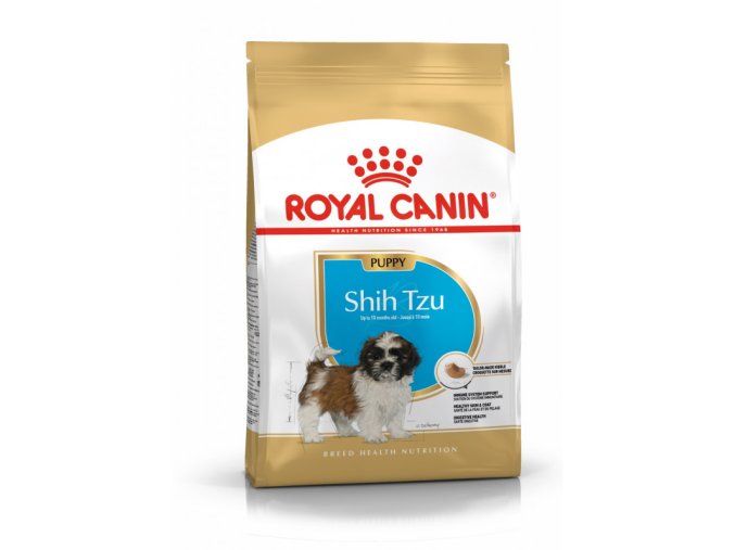shih tzu puppy 10