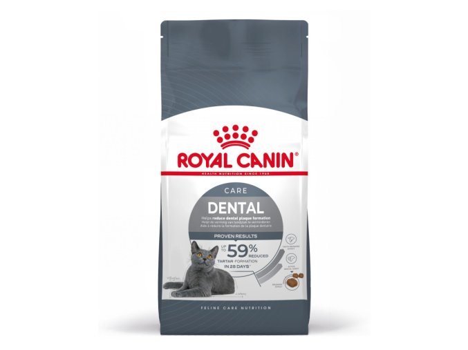 dental care 20