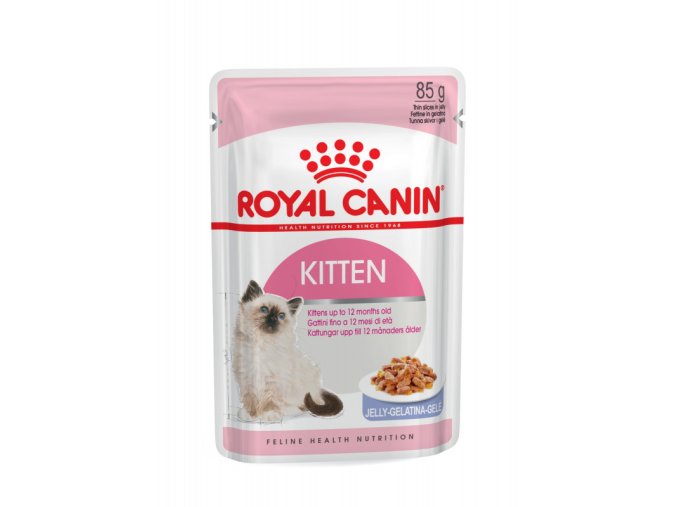 kitten instinctive jelly 12x 10