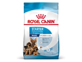 maxi starter mother babydog 41