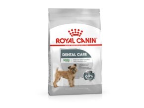 mini dental ccn packshot