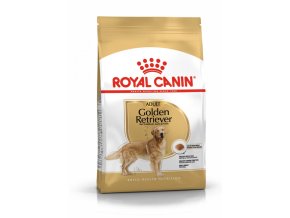 golden retriever adult 3