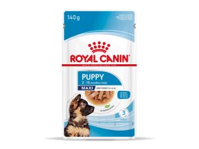 maxi puppy 10x 33