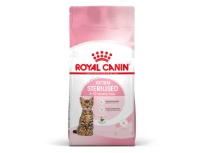 kitten sterilised 33