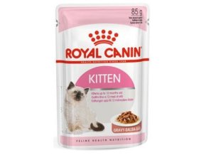 kitten instinctive gravy 12x 10