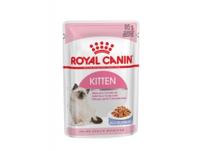 kitten instinctive jelly 12x 10